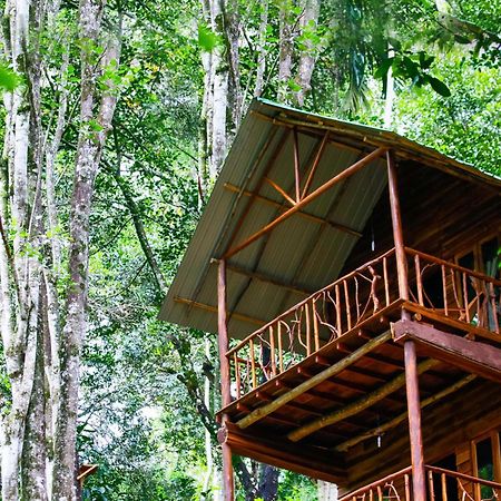 Ella Ecolodge エクステリア 写真