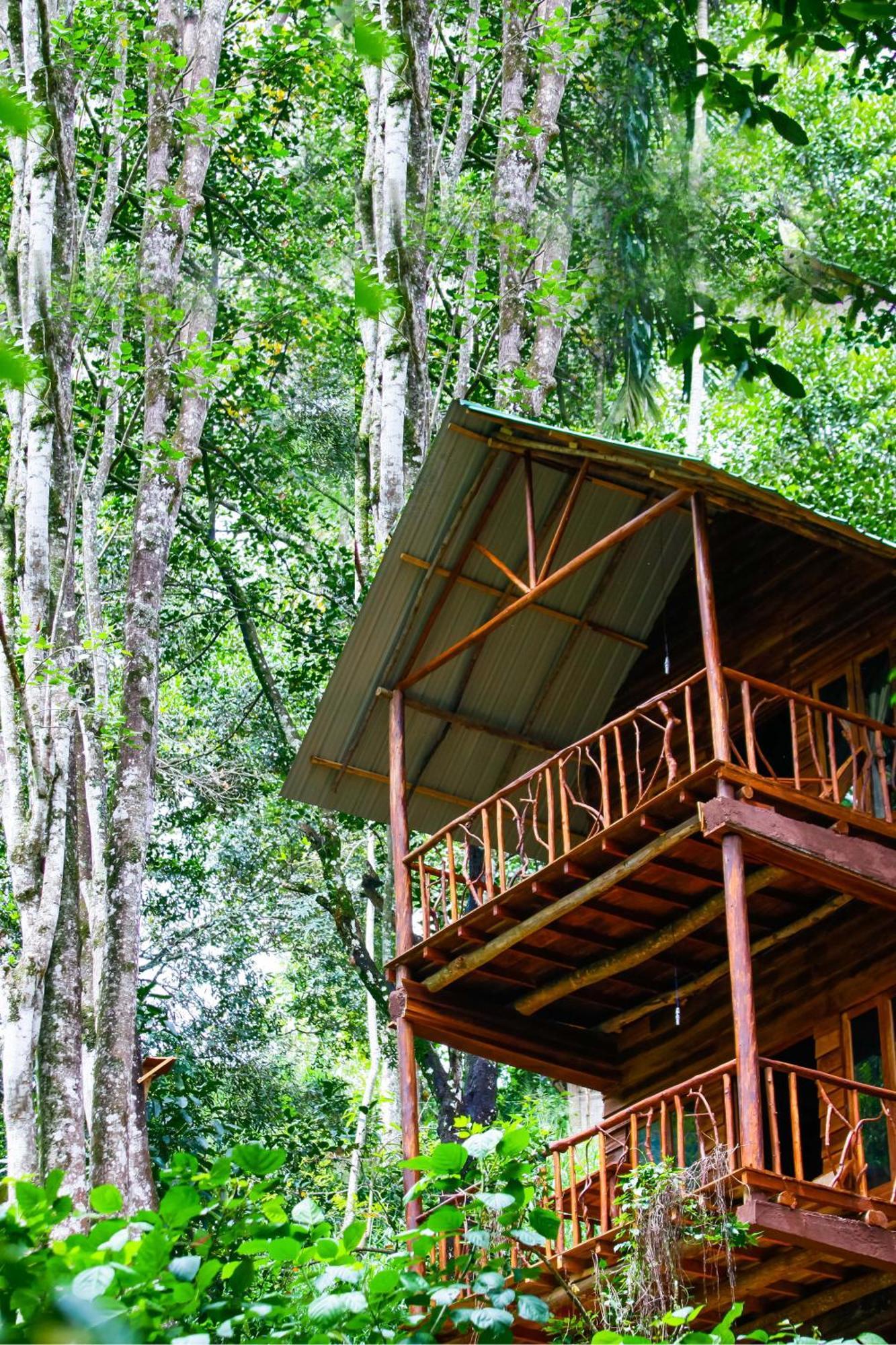 Ella Ecolodge エクステリア 写真