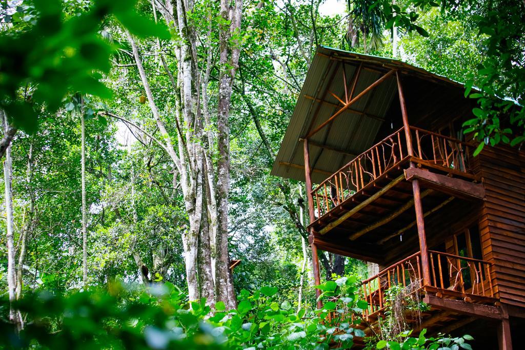 Ella Ecolodge エクステリア 写真