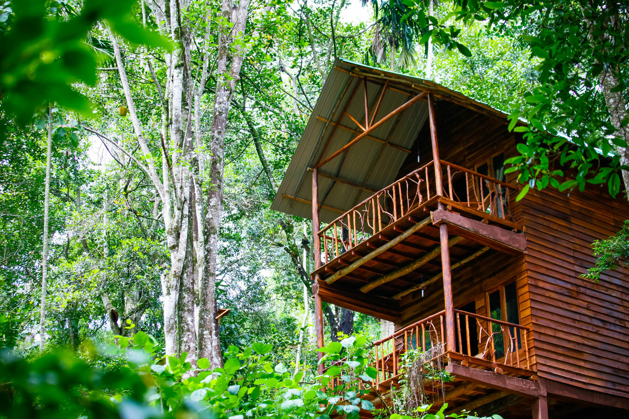 Ella Ecolodge エクステリア 写真