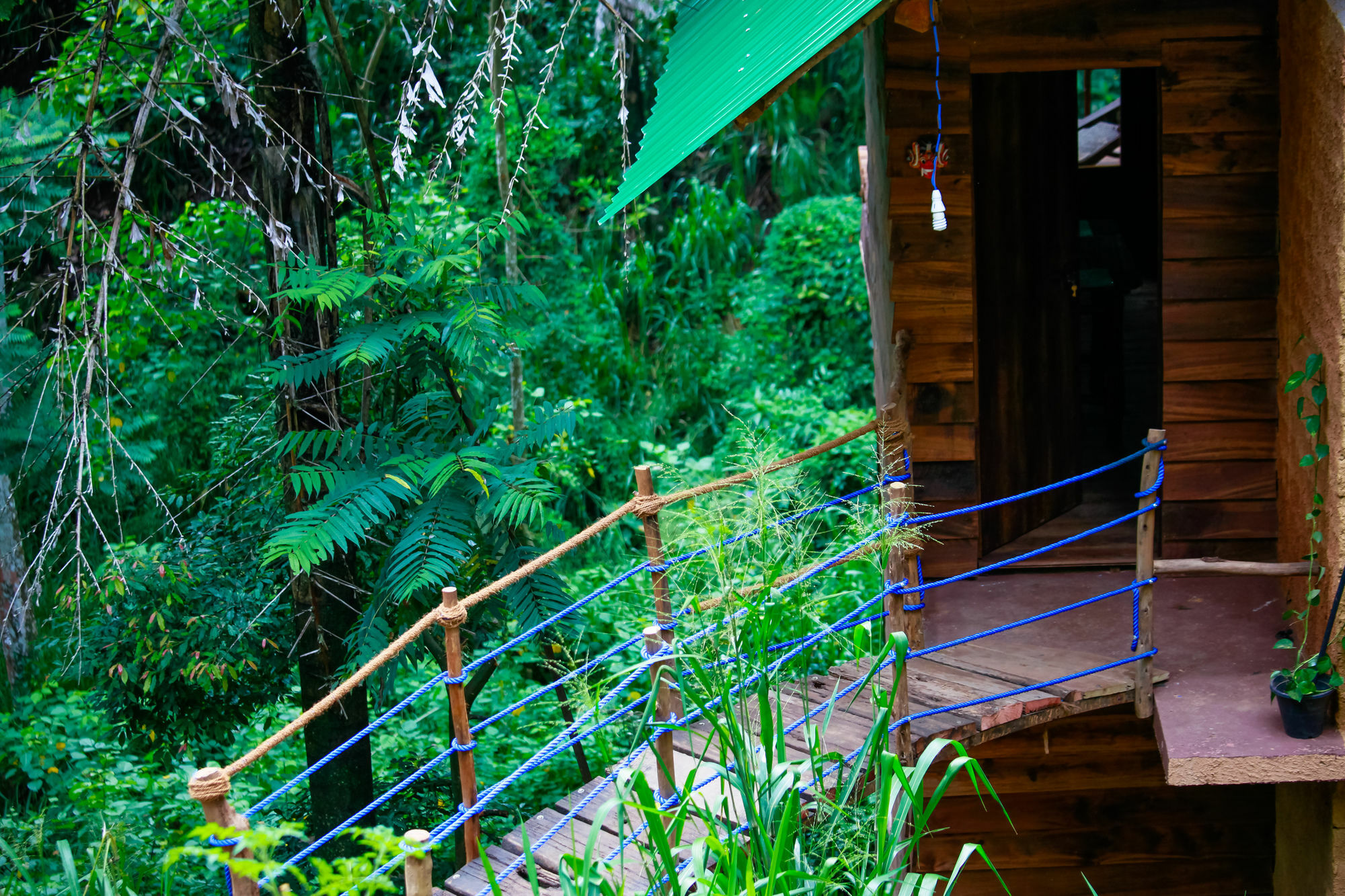 Ella Ecolodge エクステリア 写真