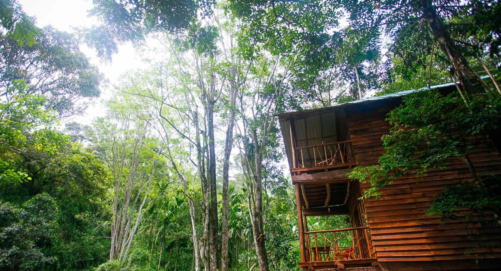 Ella Ecolodge エクステリア 写真