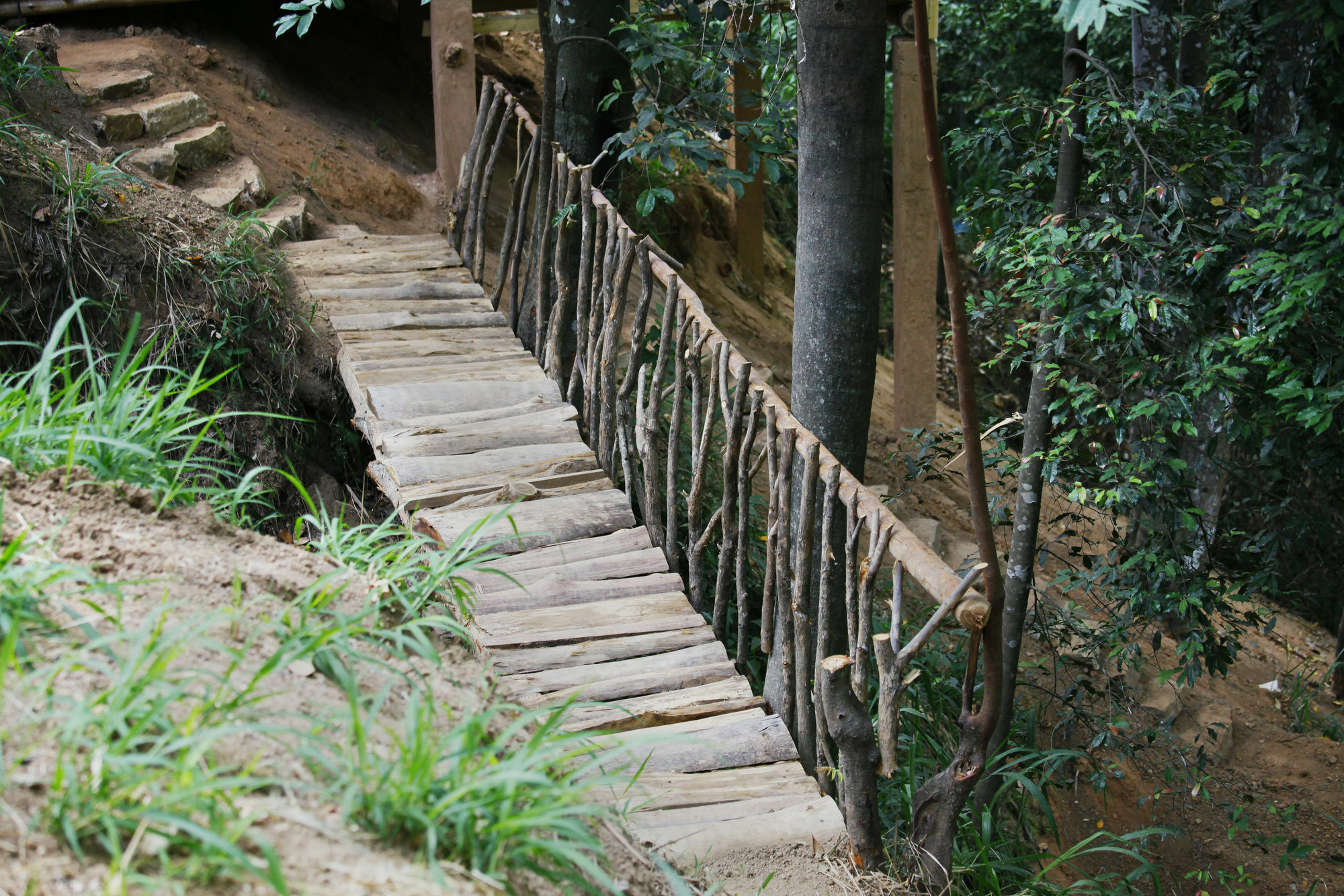 Ella Ecolodge エクステリア 写真