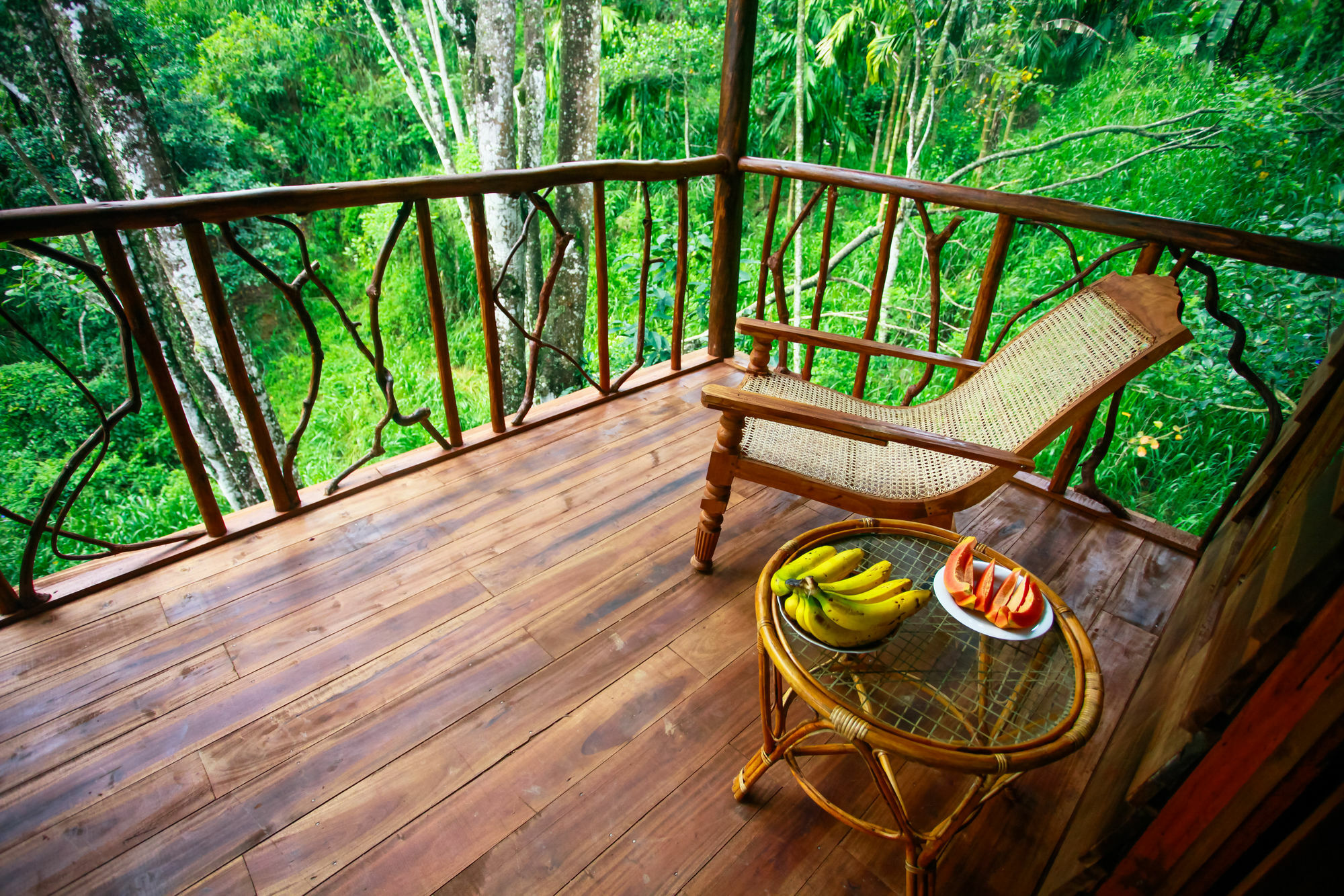 Ella Ecolodge エクステリア 写真