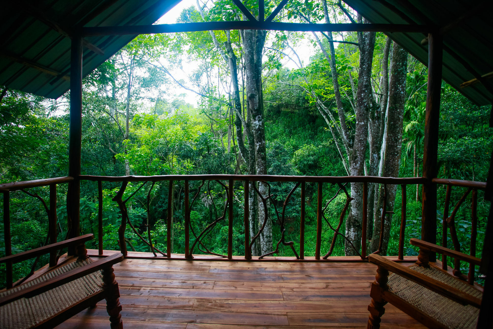 Ella Ecolodge エクステリア 写真