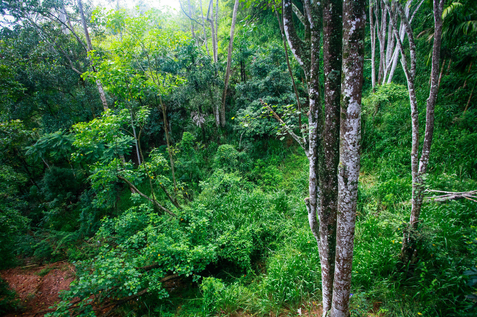 Ella Ecolodge エクステリア 写真